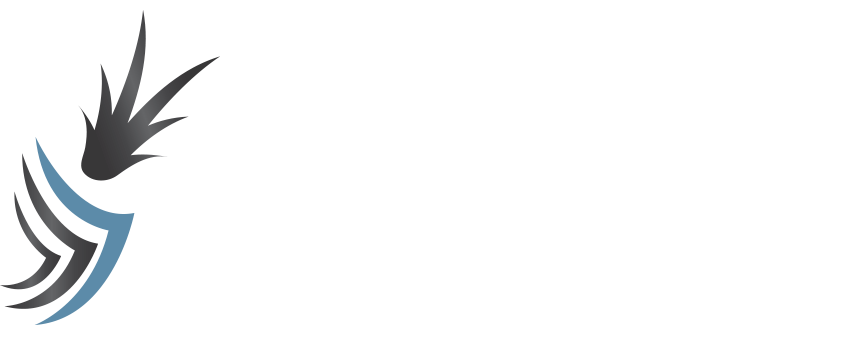 Oahu Volleyball Academy